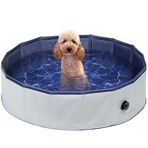 Piscina para perros