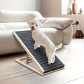 Rampa plegable para mascotas